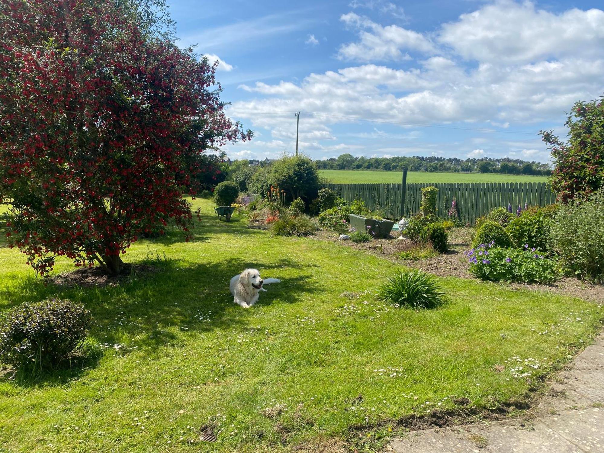 Nolans Organic Farm Villa Wexford Exterior photo